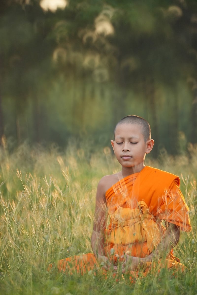 Tai Chi Image